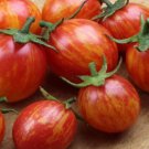 50 Seeds Pink Bumble Bee Tomato Tomatoe Vegetable Edible Canning Flowers Garden