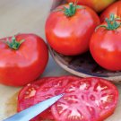 50 Seeds Burbank Tomato Juicy Tomatoe Vegetable Flowers Garden