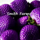 200 Seeds Purple Strawberries Edible Healthy Fruit Flowers Garden