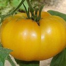 50 Seeds Aunt Gerties Gold Tomato Tasty Juicy Vegetable Tomatoe Edible Flowers Garden