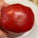 50 Seeds Choemato Tomato Juicy Tomatoe Vegetable Edible Flowers Garden