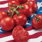 50 Seeds FOURTH OF JULY TOMATO Vegetable Flowers Garden