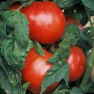 50 Seeds Bush 506 Container Tomato Juicy Tomatoe Vegetable Edible Flowers Garden