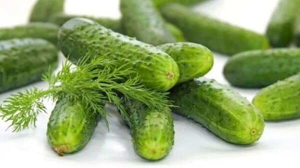 25 Seeds Utah Cucumbers Vegetable Flowers Garden