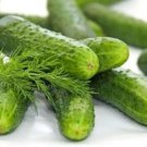 25 Seeds Utah Cucumbers Vegetable Flowers Garden