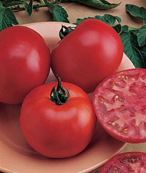 50 Seeds Big Boy Tomato Burpee s Red Juicy Tomatoe Vegetable Flowers Garden