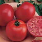 50 Seeds Big Boy Tomato Burpee s Red Juicy Tomatoe Vegetable Flowers Garden