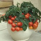 50 Seeds Patio Plum Tomato Hybrid Tomatoe Vegetable Edible Canning Flowers Garden
