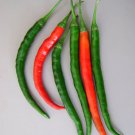 25 Seeds Kung Pao Pepper Vegetables Flowers Garden