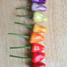 25 Seeds NuMex Twilight Pepper Vegetables Flowers Garden