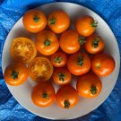 50 Seeds Tangella Tomato Tomatoe Vegetable Edible Canning Flowers Garden