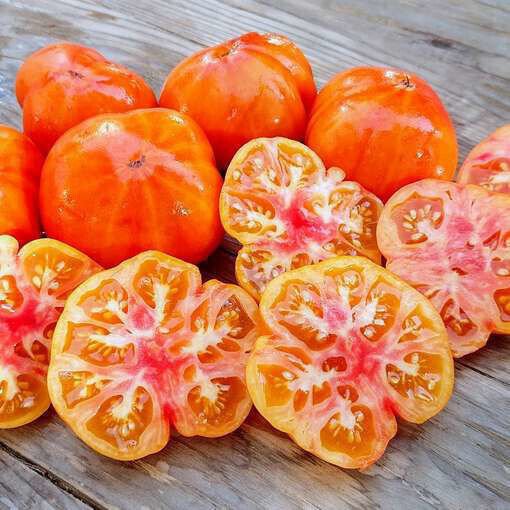 50 Seeds Marvel Stripe Tomato Tomatoe Vegetable Edible Canning Flowers Garden