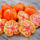 50 Seeds Marvel Stripe Tomato Tomatoe Vegetable Edible Canning Flowers Garden