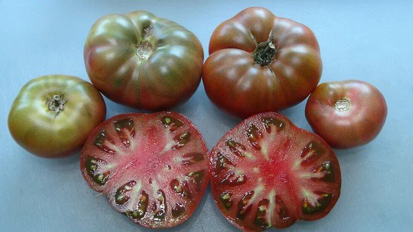 50 Seeds Wild Fred Tomato Tomatoe Vegetable Edible Canning Flowers Garden