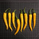 25 Seeds Ho Chi Minh Hot Pepper Vegetables Flowers Garden