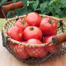 50 Seeds Early Harvest Tomato Juicy Tomatoe Vegetable Flowers Garden