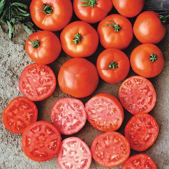 50 Seeds Mountain Glory Tomato Tomatoe Vegetable Edible Canning Flowers Garden