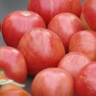 50 Seeds Sweet Carnernos Pink Tomato Tomatoe Vegetable Edible Canning Flowers Garden