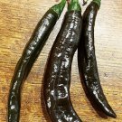 25 Seeds Chilaca Pepper Vegetables Flowers Garden