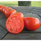 50 Seeds Chancha Tomato Juicy Tomatoe Vegetable Flowers Garden