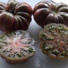 50 Seeds Purple Calabash Tomato Hybrid Vegetable Flowers Garden