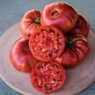 50 Seeds Granny Cantrells Tomato Juicy Tomatoe Vegetable Flowers Garden