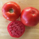50 Seeds Rambler Tomato Tomatoe Vegetable Edible Canning Flowers Garden
