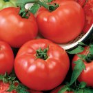 50 Seeds Chefs Choice Red Tomato Juicy Tomatoe Vegetable Flowers Garden