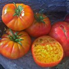 50 Seeds Big Rainbow Tomato Juicy Tomatoe Vegetable Flowers Garden
