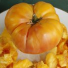 50 Seeds Dagmas Perfection Tomato Juicy Tomatoe Vegetable Flowers Garden