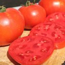 50 Seeds Burrells Special Tomato Juicy Tomatoe Vegetable Flowers Garden
