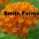 25 Seeds ORANGE BUTTERFLY WEED MILKWEED ASCLEPIAS TUBEROSA Flowers Garden