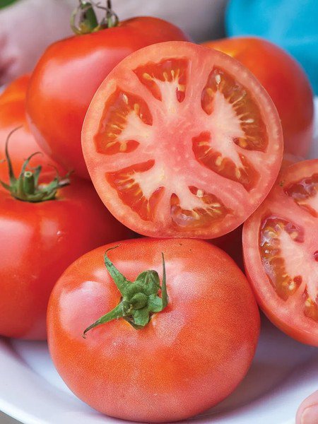 50 Seeds Summer Pick Tomato Tomatoe Vegetable Edible Canning Flowers Garden