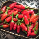 25 Seeds Thai Sun Pepper Vegetables Flowers Garden