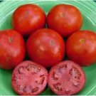 50 Seeds Top Gun Tomato Tomatoe Vegetable Edible Canning Flowers Garden