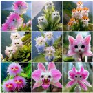 50 Seeds Big Flower Faced Cat Orchid Are Full Of Fragrant Garden Plants