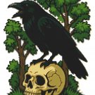 Black Crow for Halloween - Cross-stitch pattern PDF - Instant download