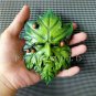 Leaf Design Woman Avatar Silicone Mold Resin Chocolate Cake Decor Casting Tool