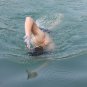 Silicone Webbed Finger Swimming Flipper Fins Swim Sports Training Gloves Diving
