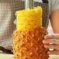Pineapple Slicer Knife Stainless Steel Fruit Peeler Core Cutter Kitchen Tool