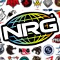 CSGO Team Logo Stickers Adhesive Back Decals Waterproof 50 Piece Set CS:GO Game