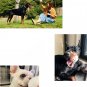 Dog Chew Toys High-elasticity Lightweight Popcorn Bite Resistant Solid Ball