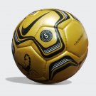 Ultra Rare Nike Chrome Scorpion Football | Secret Tournament | Cage Soccer Ball