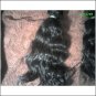 100% 10 -14 in Machine Weft Virgin Indian Natural Straight