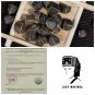 500g organic moringa seeds New harvest fine selected seeds size 11-18mm