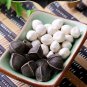 500g organic moringa seeds New harvest fine selected seeds size 11-18mm