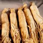 organic ginseng 6 years old organic white ginseng root 500g