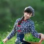organic jiaogulan tea bags to remove heavy metal 90 bags