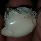 22.15ct Ethiopian welo opal (11-3)