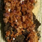 41.50 gram Vanadinite Crystal
